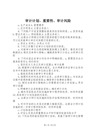 2024年审计计划重要性审计风险