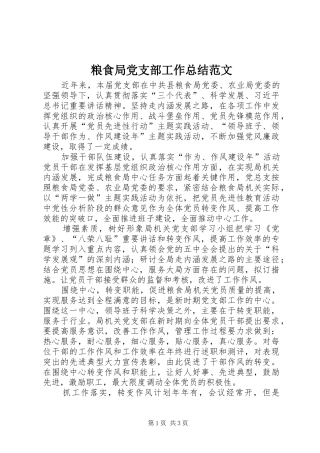 2024年粮食局党支部工作总结范文