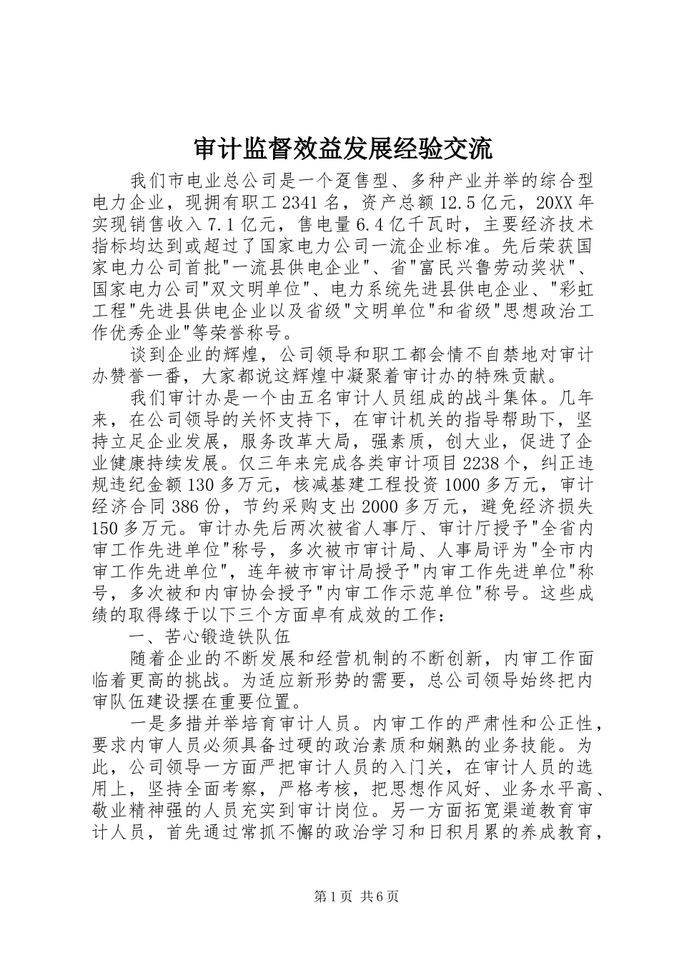 2024年审计监督效益发展经验交流_第1页