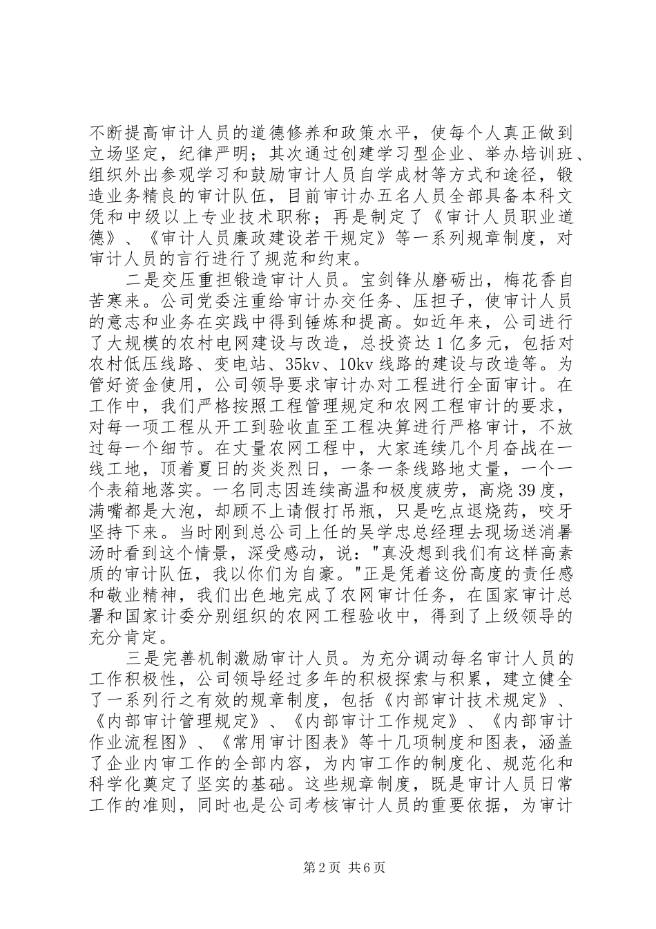 2024年审计监督效益发展经验交流_第2页