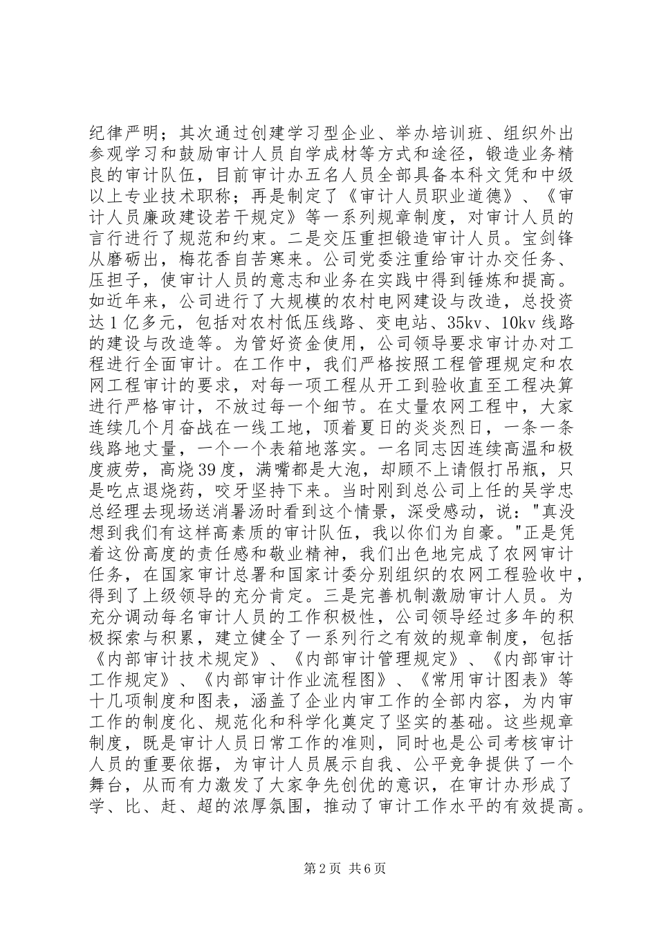 2024年审计监督效益发展经验交流材料_第2页