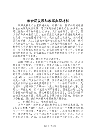 2024年粮食局发展与改革典型材料