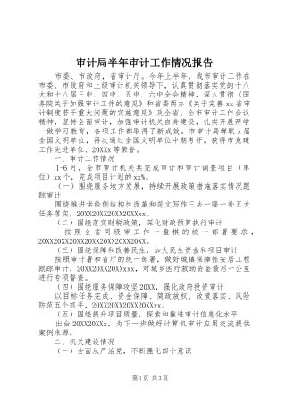 2024年审计局半年审计工作情况报告