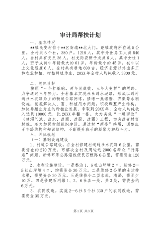 2024年审计局帮扶计划