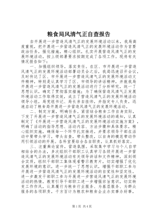 2024年粮食局风清气正自查报告