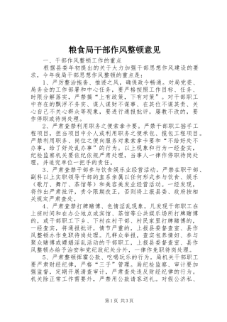 2024年粮食局干部作风整顿意见