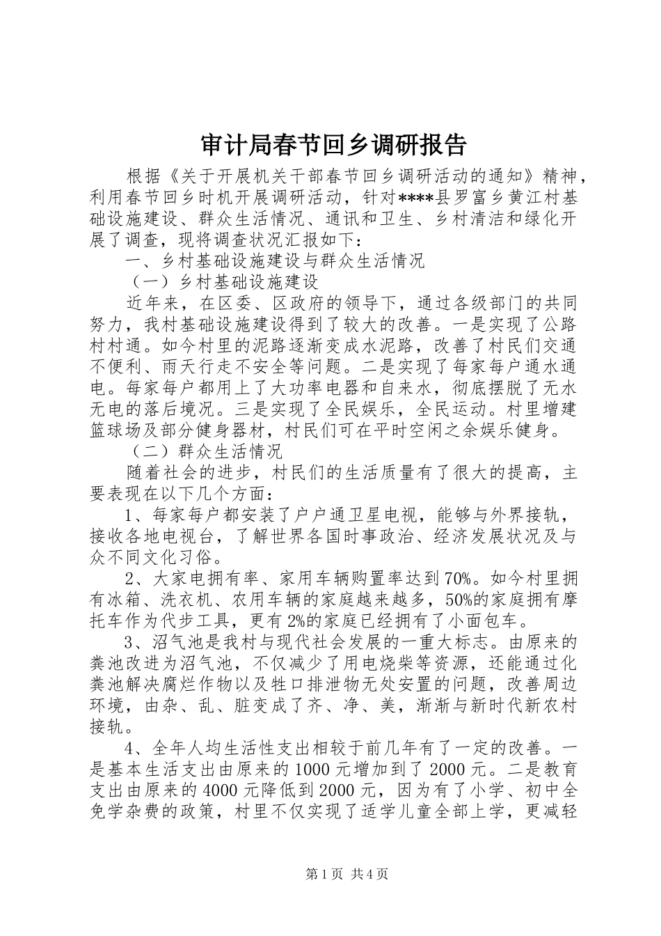 2024年审计局春节回乡调研报告_第1页