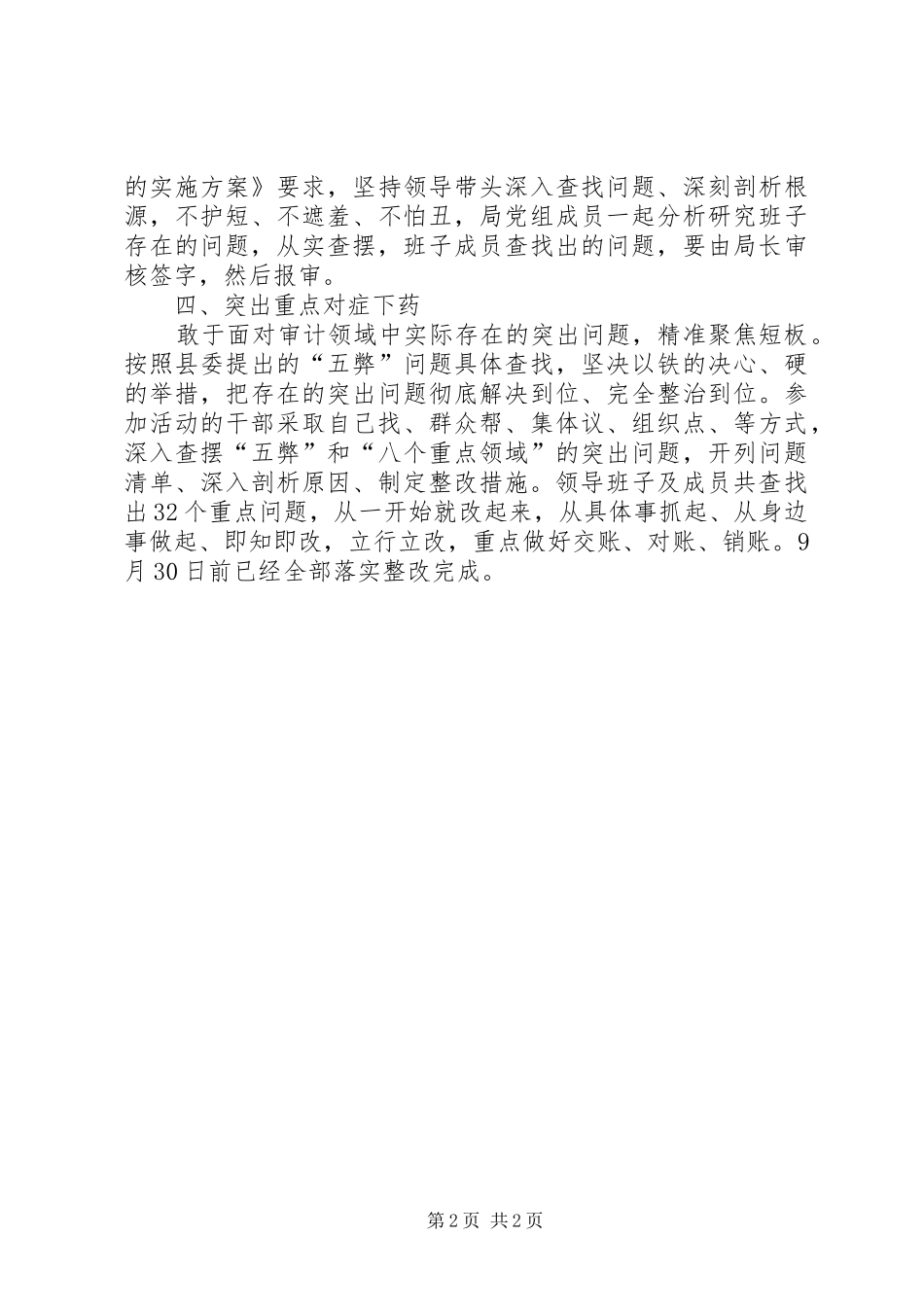 2024年审计局从严从实作风大整顿总结_第2页