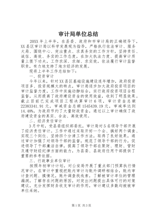 2024年审计局单位总结