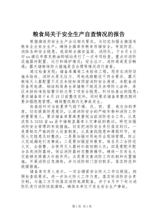 2024年粮食局关于安全生产自查情况的报告