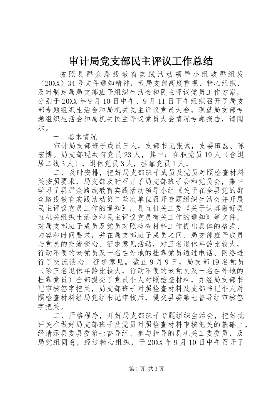 2024年审计局党支部民主评议工作总结_第1页