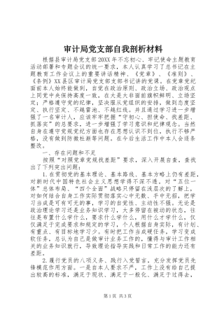 2024年审计局党支部自我剖析材料