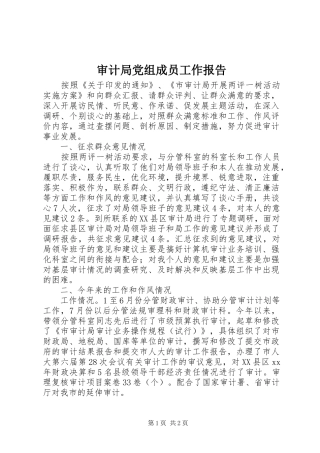 2024年审计局党组成员工作报告