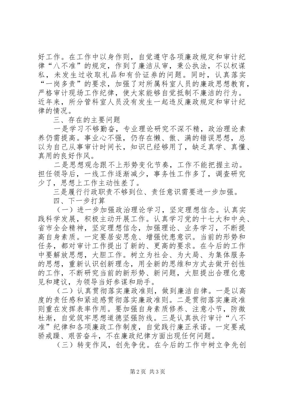 2024年审计局党组检查工作报告_第2页