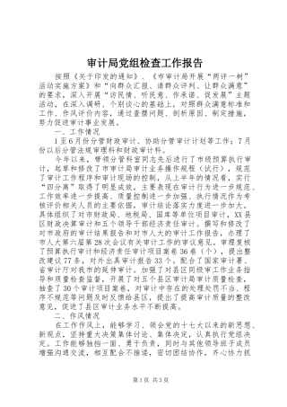 2024年审计局党组检查工作报告