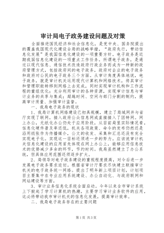 2024年审计局电子政务建设问题及对策