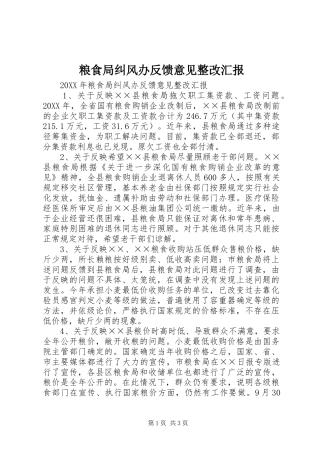 2024年粮食局纠风办反馈意见整改汇报