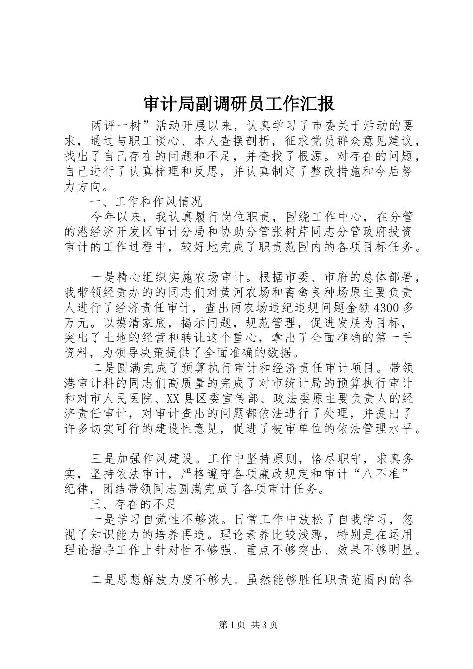 2024年审计局副调研员工作汇报_第1页