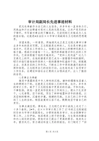 2024年审计局副局长先进事迹材料