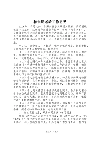 2024年粮食局老龄工作意见