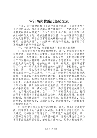 2024年审计局岗位练兵经验交流