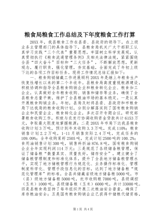 2024年粮食局粮食工作总结及下年度粮食工作打算