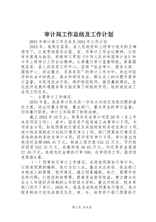 2024年审计局工作总结及工作计划