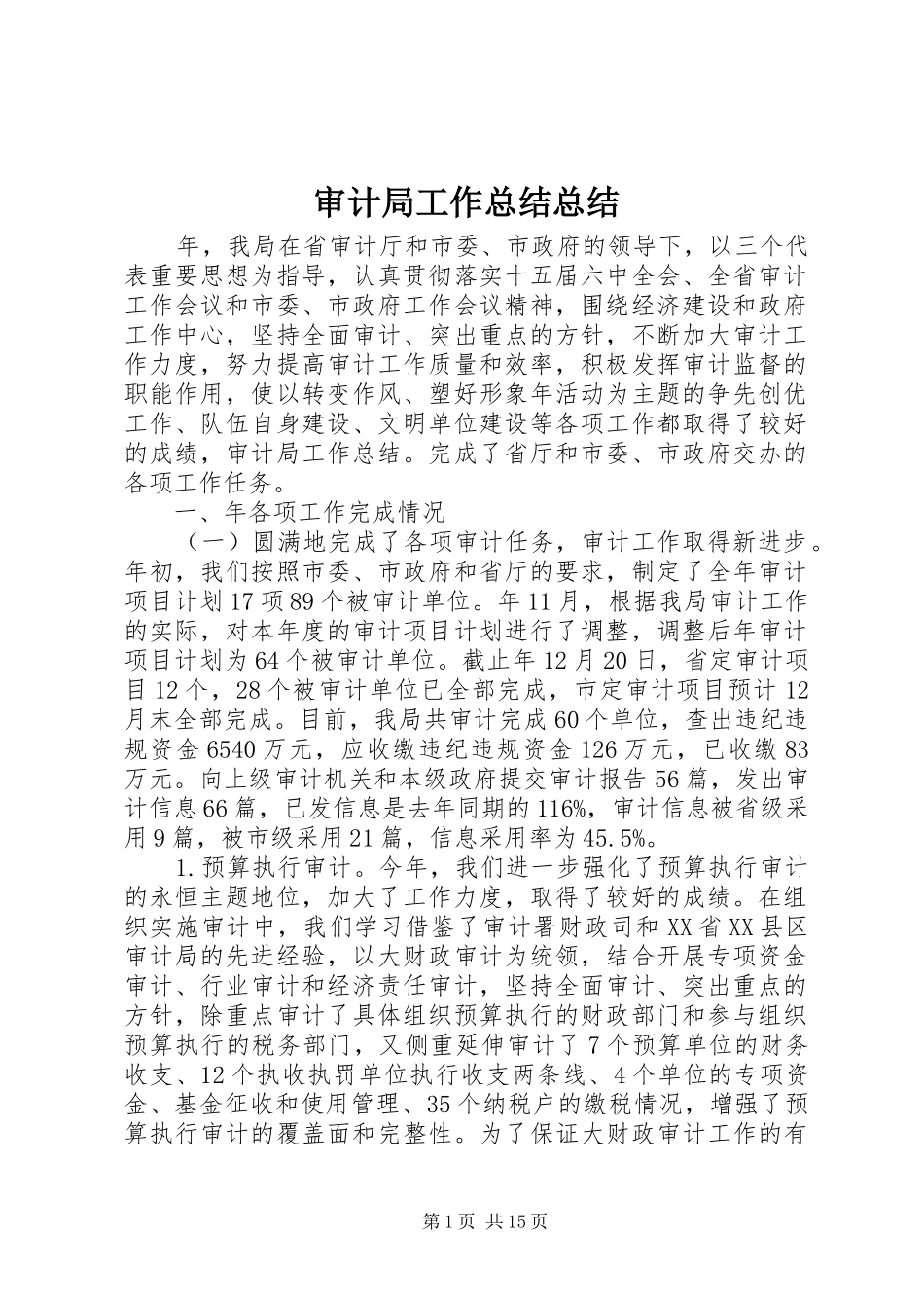 2024年审计局工作总结总结_第1页