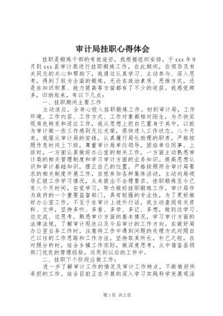 2024年审计局挂职心得体会