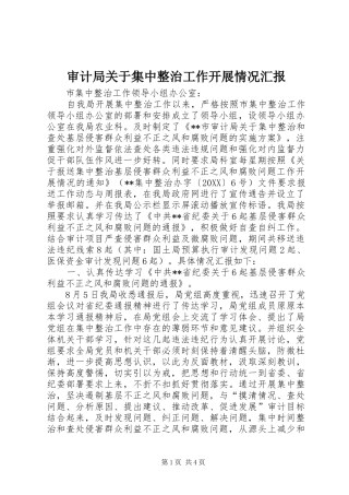 2024年审计局关于集中整治工作开展情况汇报