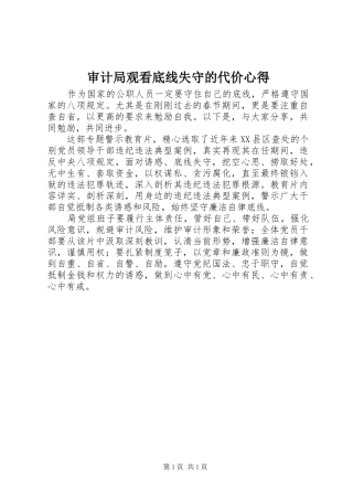 2024年审计局观看底线失守的代价心得