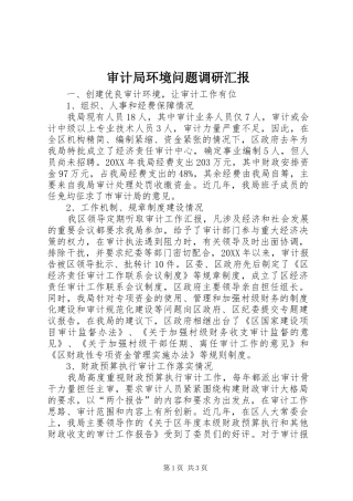 2024年审计局环境问题调研汇报