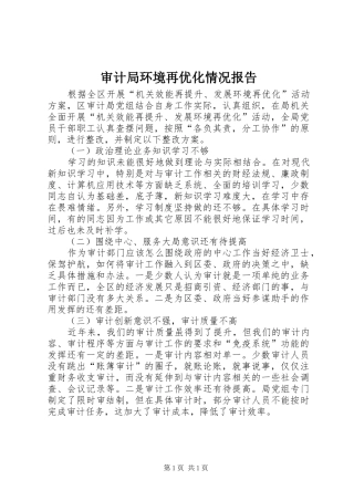 2024年审计局环境再优化情况报告