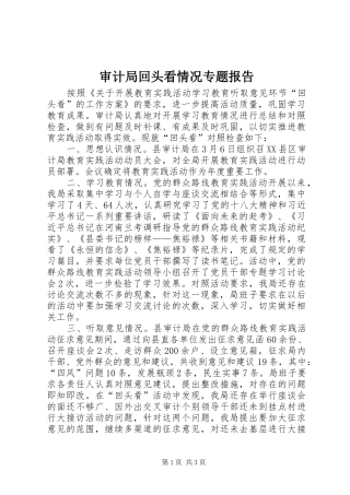 2024年审计局回头看情况专题报告