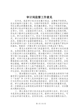 2024年审计局监督工作意见