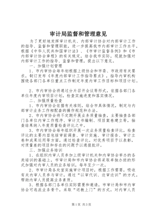 2024年审计局监督和管理意见