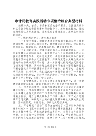 2024年审计局教育实践活动专项整治综合典型材料