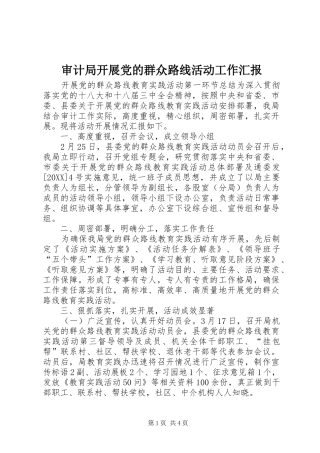 2024年审计局开展党的群众路线活动工作汇报