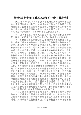 2024年粮食局上半年工作总结和下一步工作计划