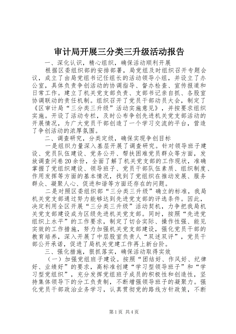 2024年审计局开展三分类三升级活动报告_第1页