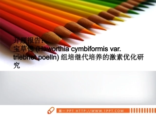 宝草锦(Haworthia cymbiformis var. triebnet poelln)组培继代培养的激素优化研究  生物技术专业 开题PPT