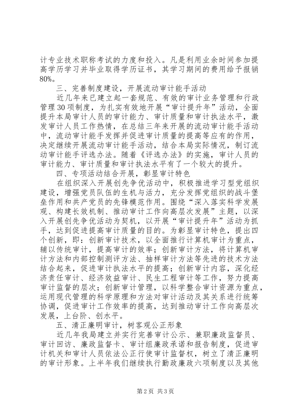 2024年审计局开展审计提升年活动情况总结_第2页