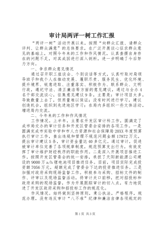 2024年审计局两评一树工作汇报