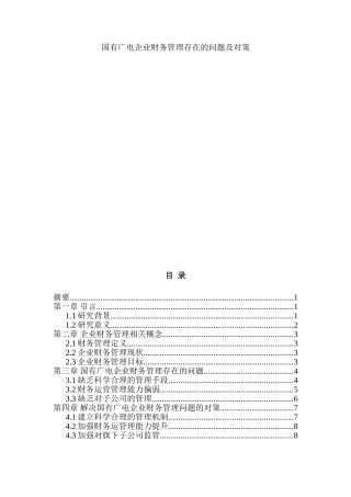 国有广电企业财务运营管理存在的问题及对策  会计学专业