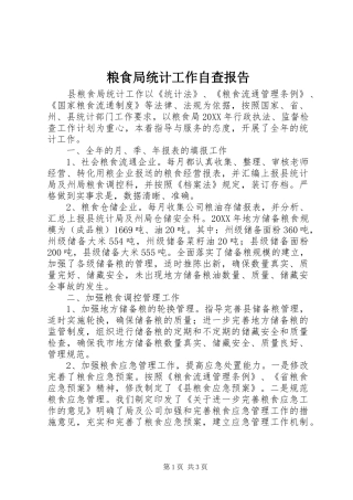 2024年粮食局统计工作自查报告