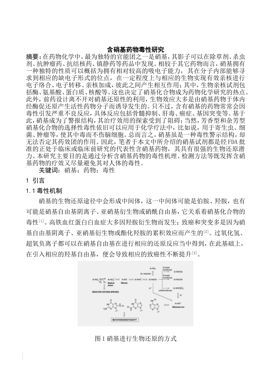 含硝基药物毒性研究  生物学专业_第2页