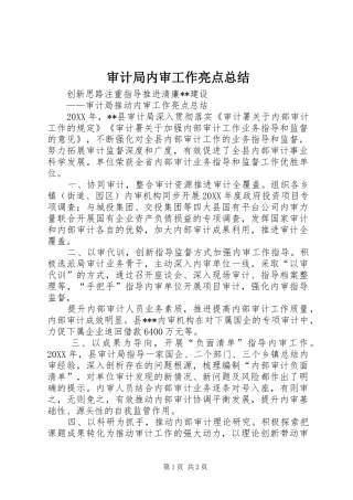 2024年审计局内审工作亮点总结