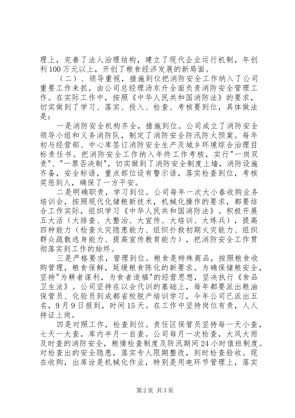 2024年粮食局消防安全大排查大整治活动工作总结_第2页