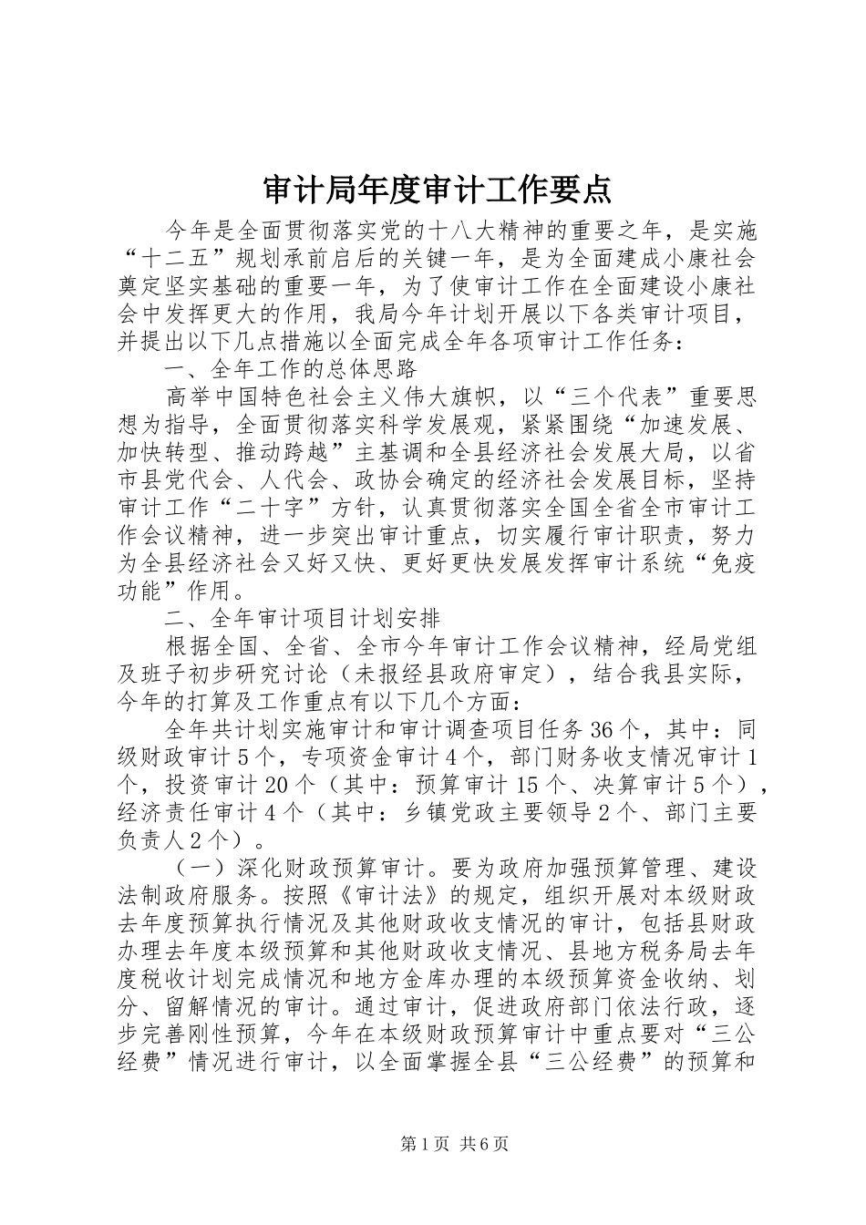 2024年审计局年度审计工作要点_第1页