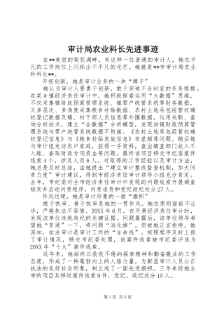 2024年审计局农业科长先进事迹